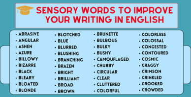 Sensory Words