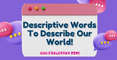 Descriptive Words