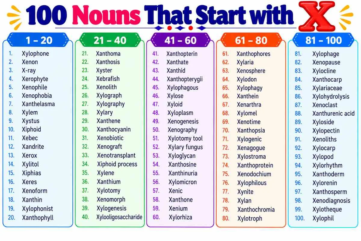 list of 100 nouns that begin with x