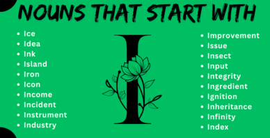 Nouns that start with I