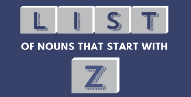 Nouns that start with z