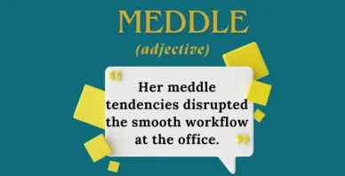Meddle