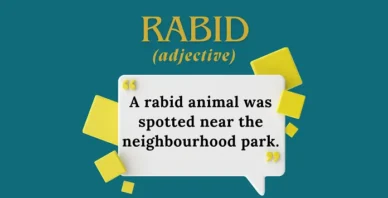 Rabid