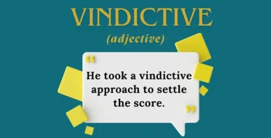 Vindictive