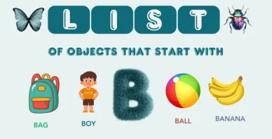 Objects That Start With B