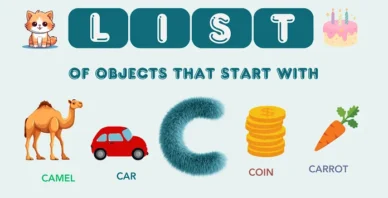Objects That Start With C