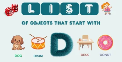 Objects That Start With D