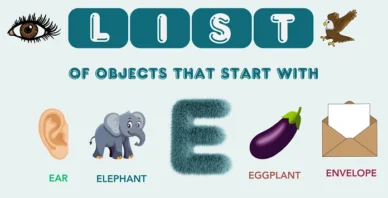 Objects That Start With E