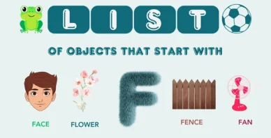 Objects That Start With F