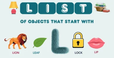 Objects That Start With L