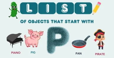 Objects That Start With P