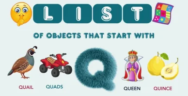 Objects That Start With Q