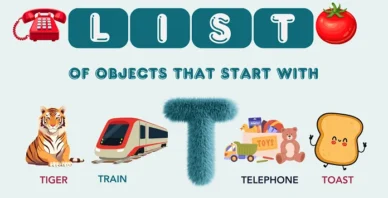 Objects That Start With T