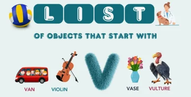 Objects That Start With V