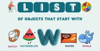 Objects That Start With W