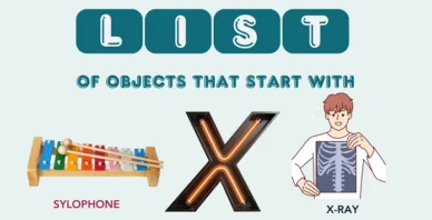 Objects That Start With X