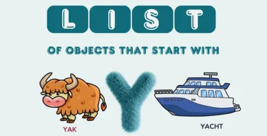 Objects That Start With Y
