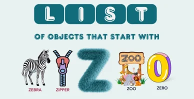 Objects That Start With Z