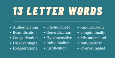 13 letter words