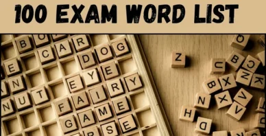 top 100 exam words