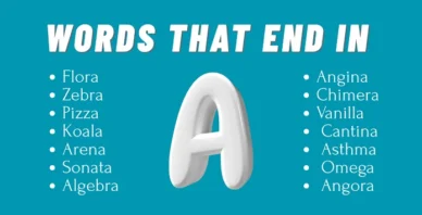 words that end in A