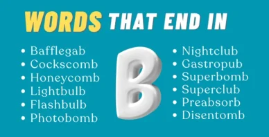 words that end in B