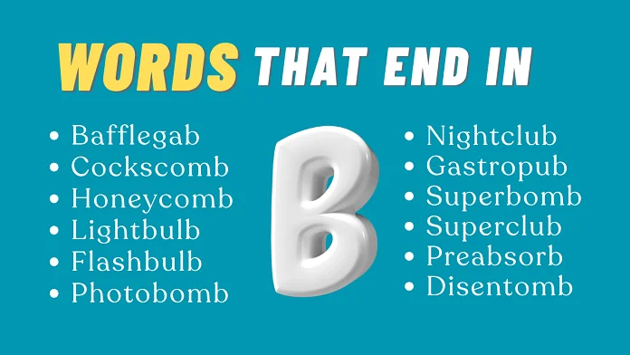 words that end in B