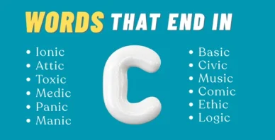 words that end in C