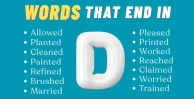 words that end in D