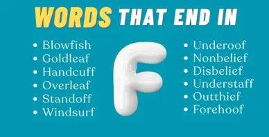 words that end in F