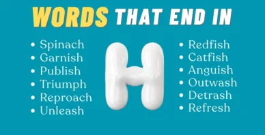 words that end in H