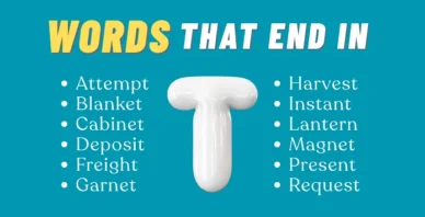 words that end in T