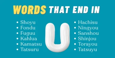 words that end in U
