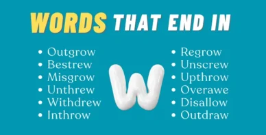 words that end in W