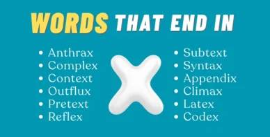 words that end in X
