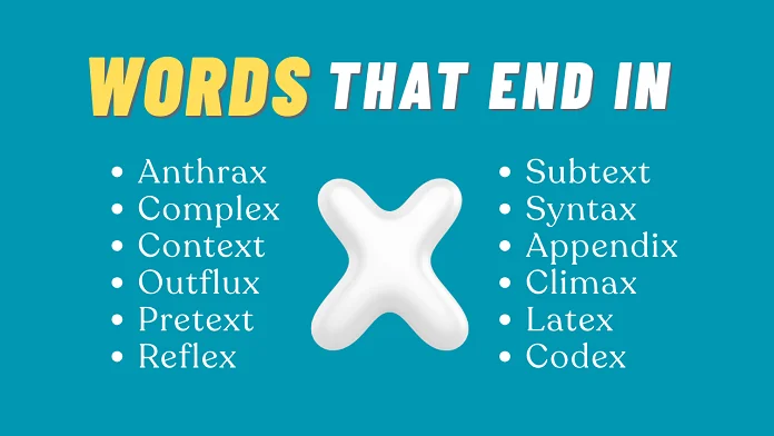 words that end in X