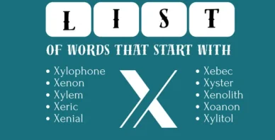 words that start with X