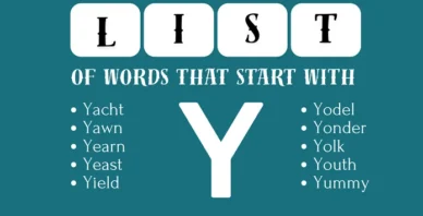 words that start with Y