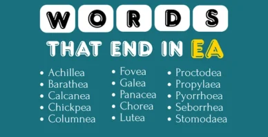 words that end in EA