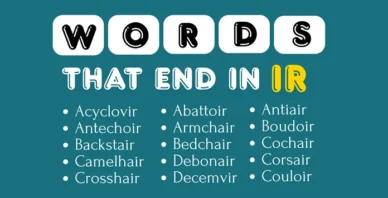 words that end in IR
