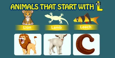 Animals starting with L