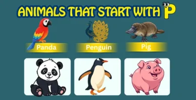 Animals starting with P