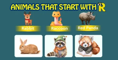 Animals starting with R