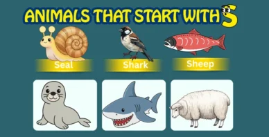 Animals starting with S