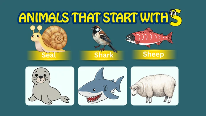 Animals starting with S