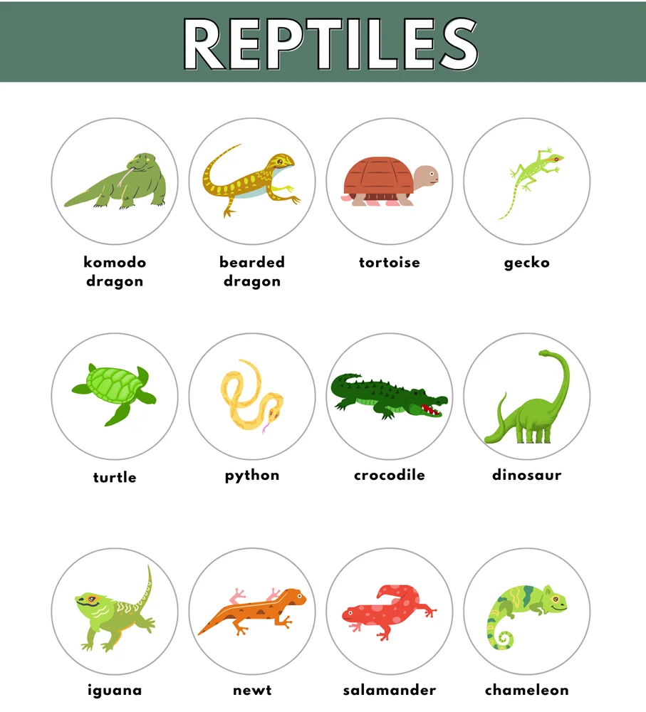 List of reptiles