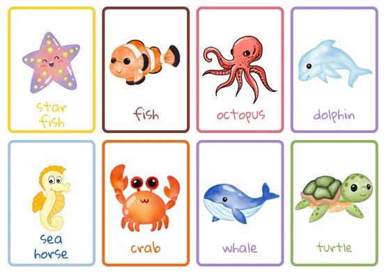 sea animals list