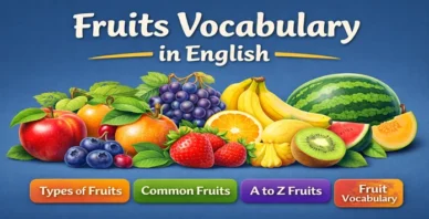 Fruits Vocabulary