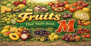 Fruits that start with M