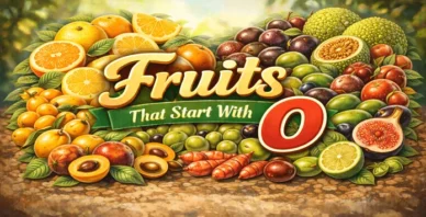 Fruits that start with O